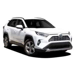 Toyota Rav 4 Cruiser 2018 - 2020